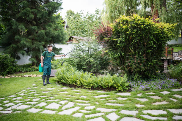 Best Pest Removal Services  in Belton, TX