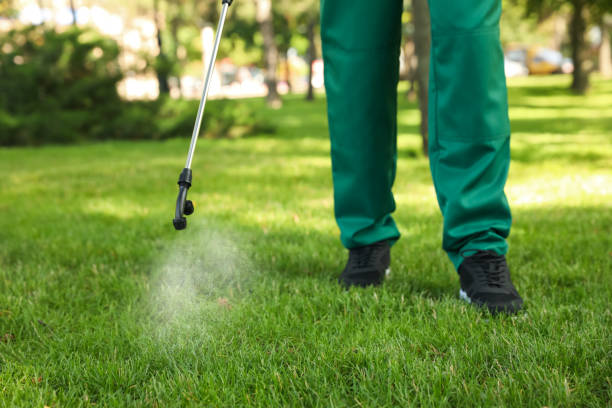 Best Pest Prevention Services  in Belton, TX