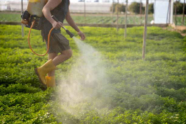 Professional Pest Control in Belton, TX