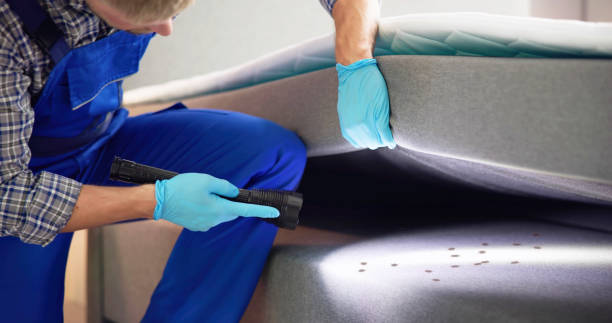 Best Affordable Pest Control Services  in Belton, TX