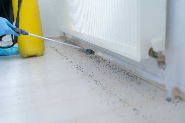 Best Best Pest Control Companies  in Belton, TX