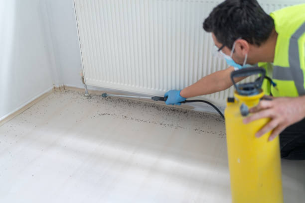Best Bed Bug Extermination  in Belton, TX
